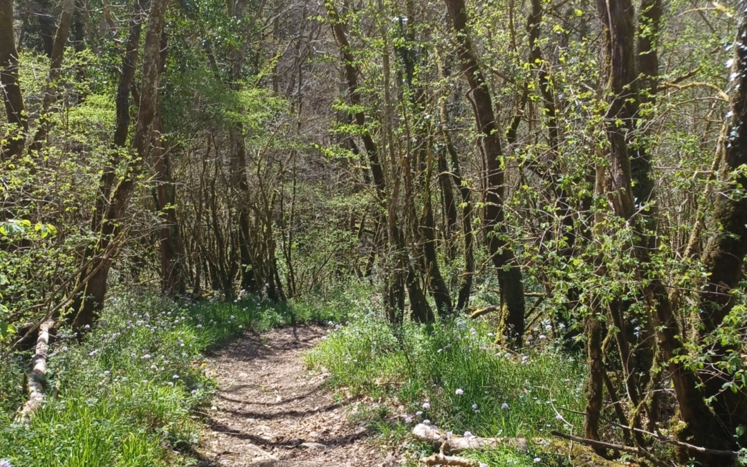 Nathalie, Une guerrière en chemin