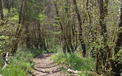 Nathalie, Une guerrière en chemin